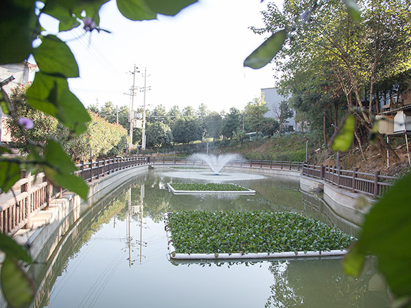 长沙秀峰山老年公寓有限责任公司,长沙老年人残疾人养护服务,养老产业策划咨询,护理机构服务哪里好